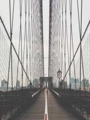 lt;Gingerly, Shen Qi