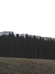 My projections are a