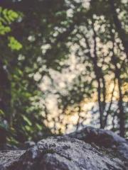 The Heavenly Eye Gho