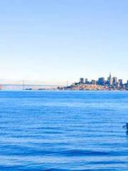 Grandpa Fuapos;s Ful