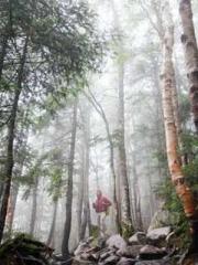 Celestial Eye: Peerl