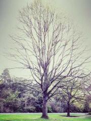 High School Campus S