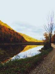 The Wife of My Heart